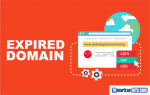 Cara cek domain expired