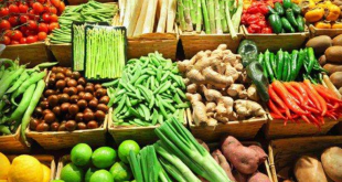 Apliksi Berbelanja Sayur Online